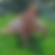 jobarbi (66 Jahre) sucht Sex und Seitensprung im Landkreis Altötting